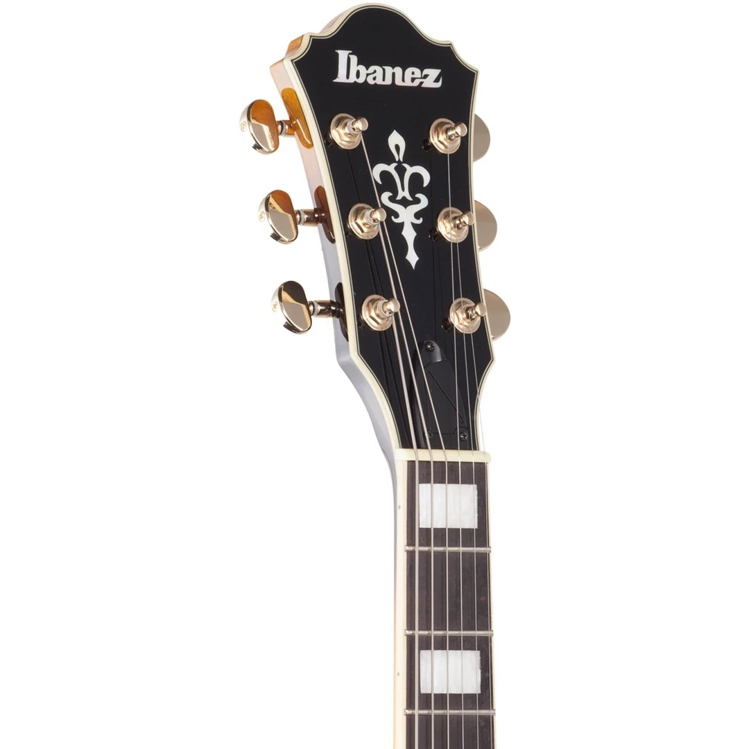 Полуакустическая гитара Ibanez AF95FM-AYS