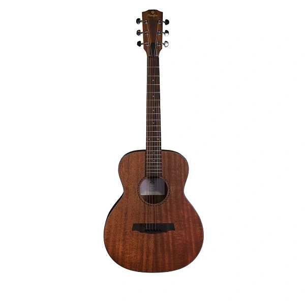 Акустическая гитара Prodipe BB27MHS