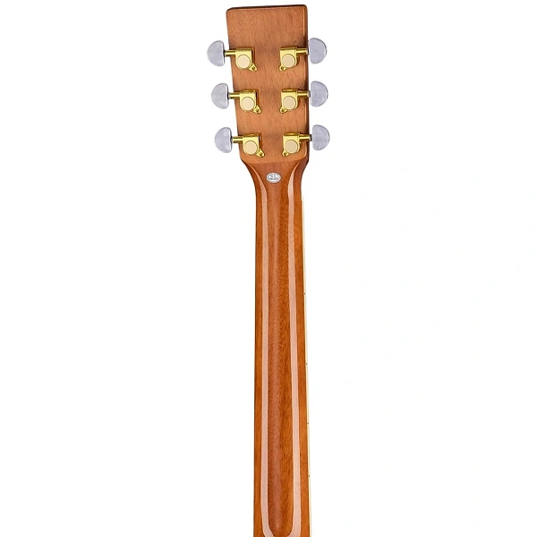 Акустическая гитара Ramis RW-436A