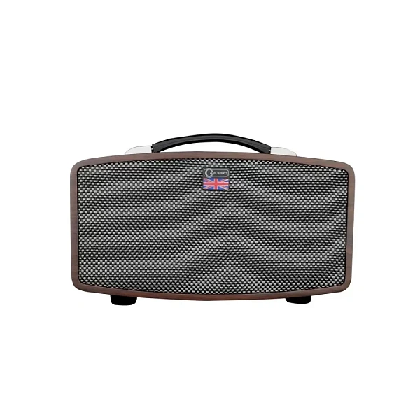 Комбоусилитель Carlsbro Stingray D5